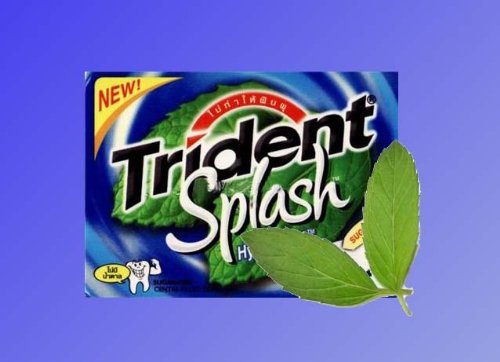 10 Pack Trident Splash Hypermint Flavored Gum Sugar Free Shipping From Thailand logo