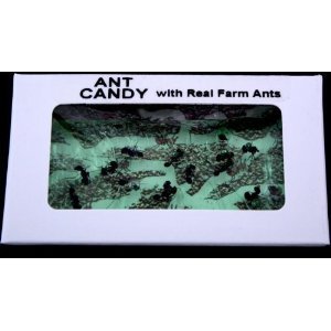 Ant Candy Apple- 1 Package logo