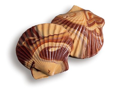 Asher’s Milk Chocolate Peanut Butter Large Molded Seashells, 10 Pieces logo