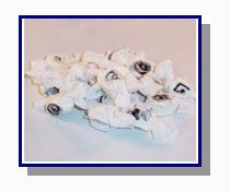 Black Licorice Salt Water Taffy logo