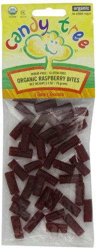 Candy Tree Organic Raspberry Bites, 2.6 ounce Packages (Pack of 12) logo