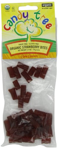 Candy Tree Organic Strawberry Bites, 2.6 ounce Packages (Pack of 12) logo