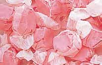 Cherry Red Gourmet Salt Water Taffy 5 Pound Bag (bulk) logo