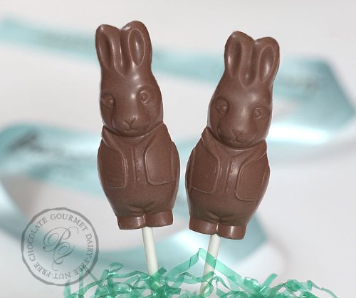 Chocolate Bunny Pop (each) – Gluten Free, Nut Free, Milk Free logo