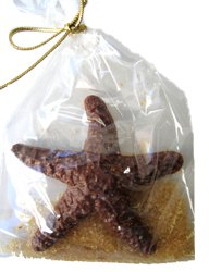 Chocolate Starfish Favor Gift Bag logo