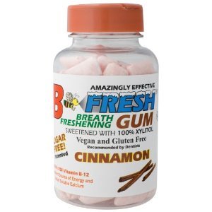 Cinnamon Gum 100 Pieces logo