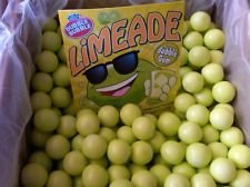 Concord Limeade Gumballs, 10lbs logo