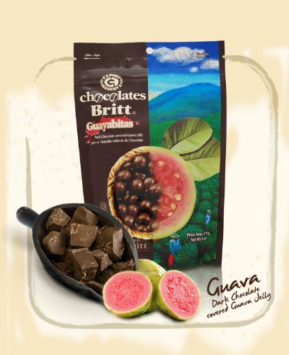 Dark Chocolate Covered Guava logo