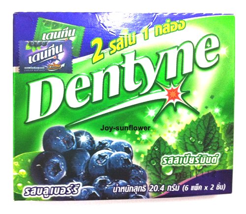 Dentyne 2 Flavors In 1 Box Blueberry & Spearmint Flavor Product Of Thailand logo