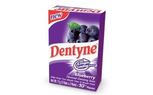 Dentyne Blueberry Flavored Chewing Gum (10 Packs-box) logo