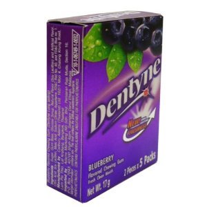 Dentyne Blueberry Flavored Chewing Gum Long-lasting Flavor Wt 17 G X 4 Boxes logo