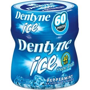 Dentyne Ice Gum Peppermint 2 Value Package Chewing Gum – 480 Pieces 8 Ct 2 Package logo