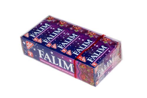 Falim Plain Gum – Forrest Fruits Flavoured- 20 5 = 100 Pieces logo
