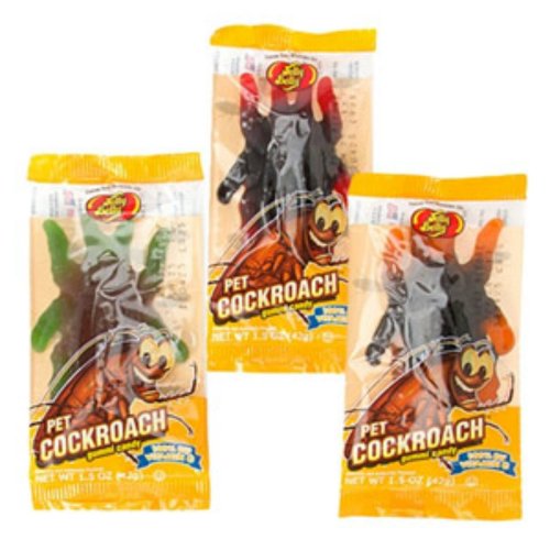 Giant Gummy Cockroach Candy 24 Count logo