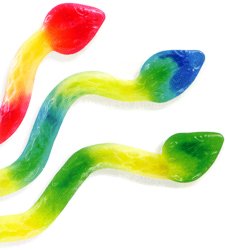 Giant Gummy Snakes 5lb Bag logo