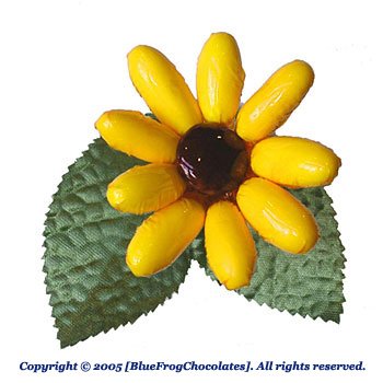 Girasole Cannellini Cannellini Sunflower Italian Flower Candy logo