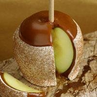 Helen Grace Caramel Apples logo