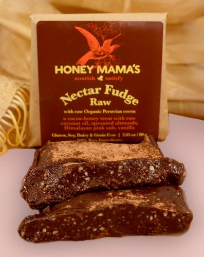 Honey Nectar Fudge Raw Bar With Sprouted Almonds, 2.85 Oz logo