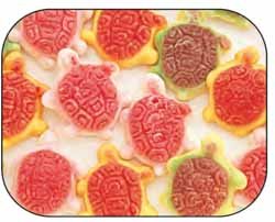 Jelly Filled Gummi Gummy Turtles Candy 2.2 Pound Bag (bulk) logo