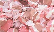 Neapolitan Gourmet Salt Water Taffy 1 Pound Bag logo