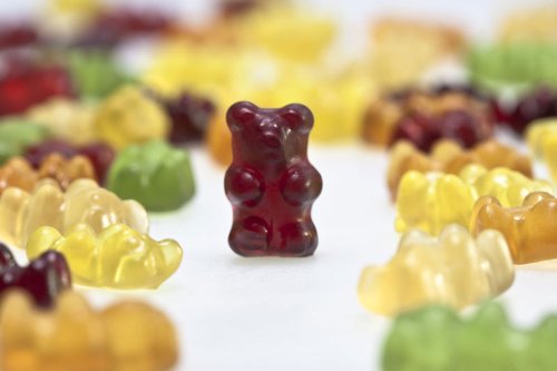 Organic Vegan Gummi Bears – Bulk Bag 1lb logo