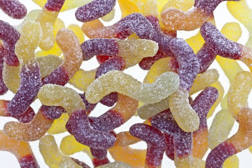 Organic Vegan Sour Gummies – Bulk Bag 2lbs logo