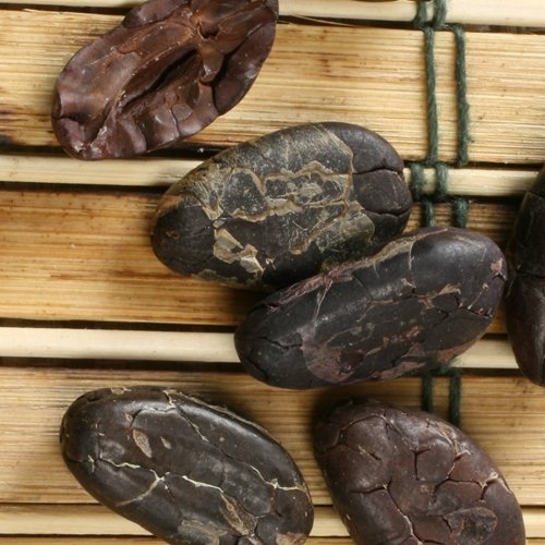 Organic Whole Shelled Cacao Beans (12 Ounce) logo