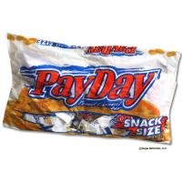 Pay Day Candy Bars Snack Size Bag 11.6 Oz logo