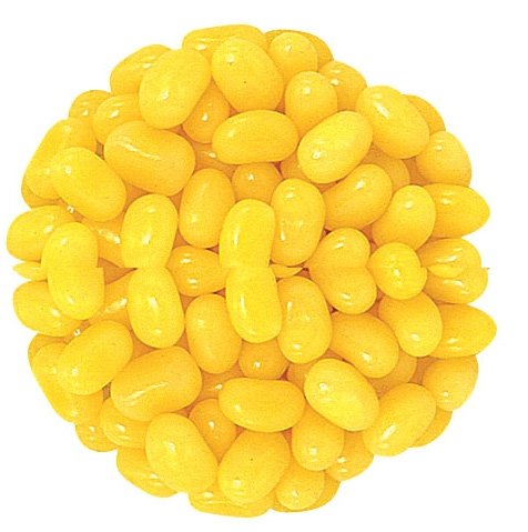 Pina Colada Jelly Belly Jelly Beans, 2lbs logo