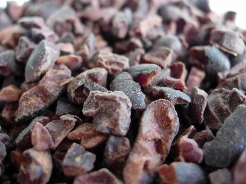 Raw Organic Cacao Nibs-16 Ozs By Pacari logo