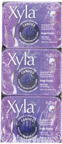 Ricochet Candies With Xylitol, Grape Escape, 100-count (Pack of 6) logo