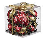 Riegelein Chocolate Mini Ladybugs In Gift Container 100g logo