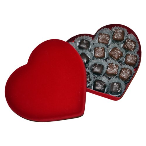 Salted Caramels In Red Velvet Heart Box – 16 Piece Milk & Dark Chocolate Assortment – By Dilettante logo