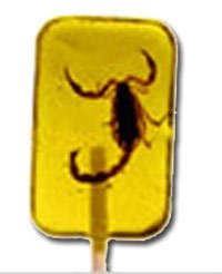 Scorpion Sucker- Banana logo