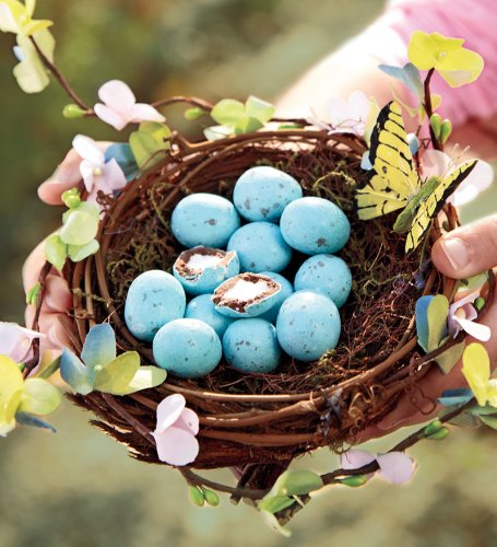 Spring Nest With Gourmet Eggs logo