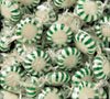 Starlight, Spearmint Hard Candy 10 Pound Case logo