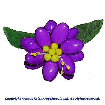 Stella Alpina Alpine Star (purple) Italian Flower Candy logo