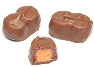 Sugar Free Milk Chocolate Flavored Coating Orange Sherbet Cream, 1lb logo