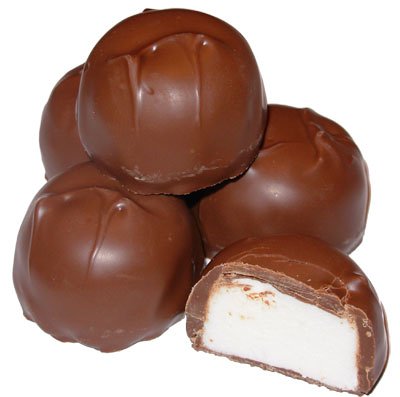 Sugar Free Milk Chocolate Vanilla Marshmallow, 16 Oz. (1 Lb) logo