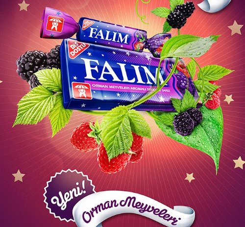 Sugarless Falim Plain Gum – Forrest Fruits Flavoured – 100 Pieces – Individually Wrapped logo