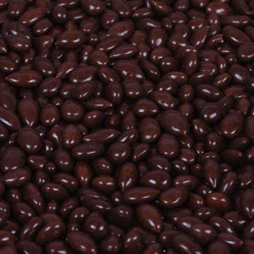 Sunbursts Chocolate Covered Sunflower Seeds Dark Brown – 5 Lb Bag logo