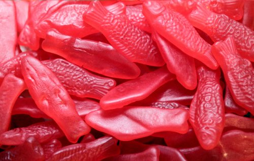 Swedish Fish – Red 5 Lbs. logo