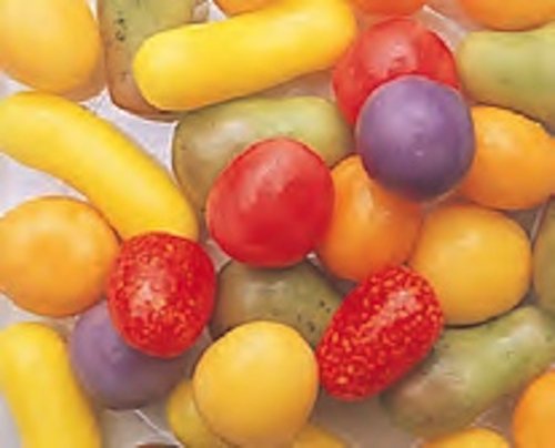 Swiss Mini Fruits Candy 1lb Bag logo