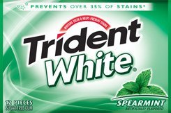 Trident White Spearmint Chewing Gum 36 logo