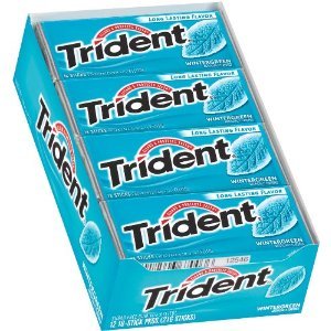 Trident Wintergreen Sugar Free Chewing Gum (Pack of 24) logo