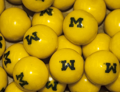 University Of Michigan Fruit Flavored 1 Gumballs (10 Pound) logo