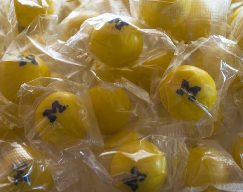 University Of Michigan Fruit Flavored 1 Wrapped Gumballs (100 Count) logo