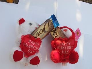 Valentine’s Day Gift, Set Of 2 One Red One White Plush Teddy Bears With Dove Chocolate Bars logo