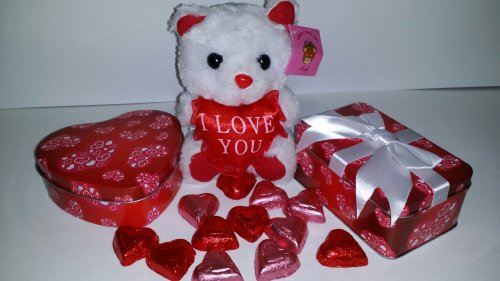 Valentine’s Day Gift, Valentine Gift Alternative, Red Tin With White Heart Pattern, Reusable, Includes Assorted Plush Teddy and Milk Chocolate Candy, Perfect For Your Girl Or That Special Someone logo