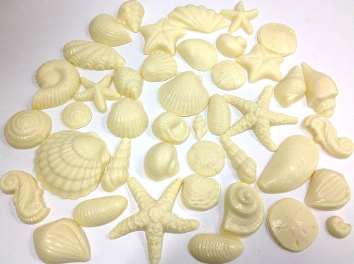 White Chocolate Seashells, Decoration Package For Special Occasion Cakes logo